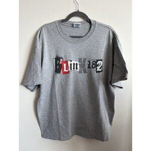 Vintage Blink 182 T-shirt Mens XL Concert Rock Tour Gray M&O Knits